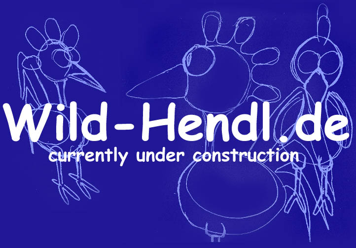 Wiederkommen lohnt sich!